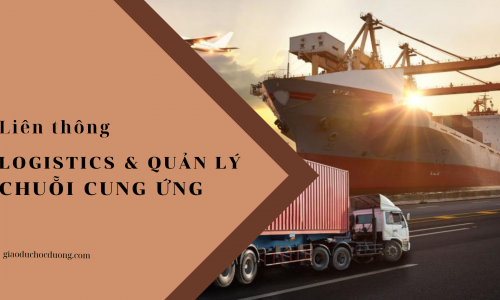 Liên thông Ngành Logistics và Quản lý Chuỗi cung ứng